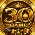 3O Game APK